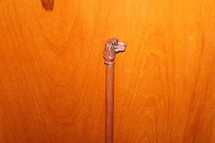 Walking stick with Dog head