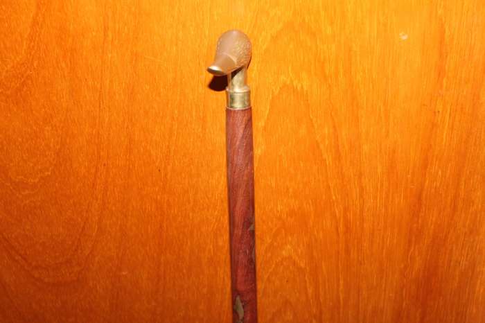 Walking Stick with duck head