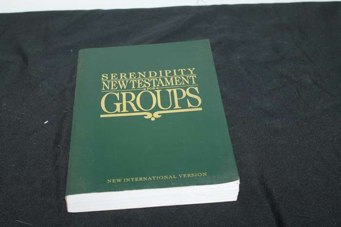 Serendipity New Testament for Groups