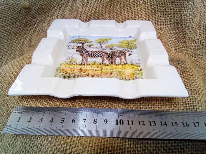 What a find!  A lovely vintage Drostdy ware "Willem Pretorius Wildtuin" ashtray