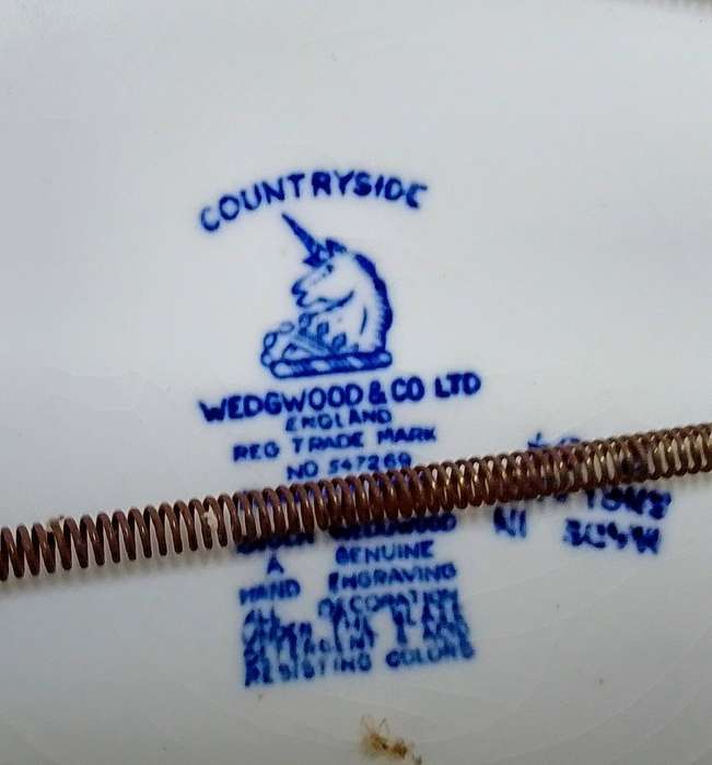Lovely vintage Enoch Wedgewood Tunstall COUNTRYSIDE Plate