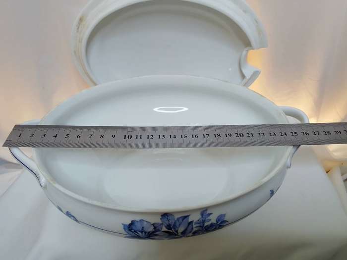 Gorgeous vintage Vista Alegre soup tureen (Portugal)