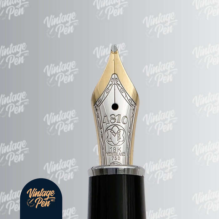 Montblanc Signum Doue Fountain Pen
