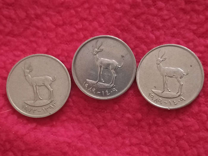 United Arab Emirates Coin and Note