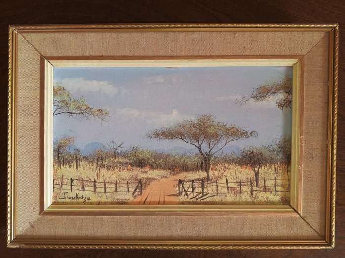 Johan Kotze Paintings (Signed)