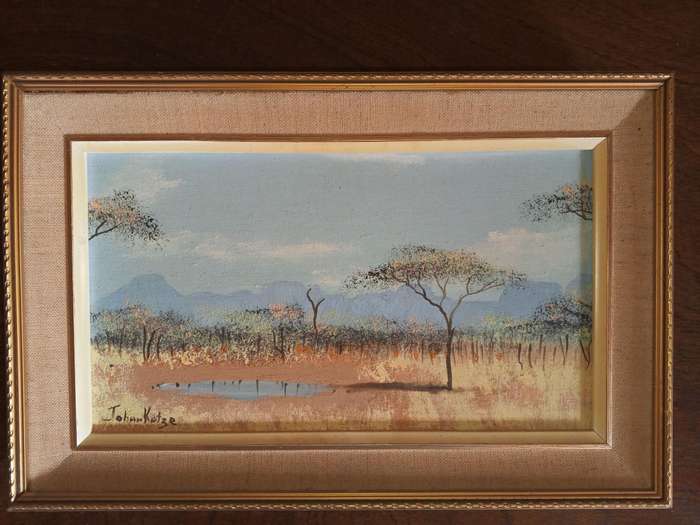 Johan Kotze Paintings (Signed)