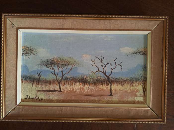 Johan Kotze Paintings (Signed)