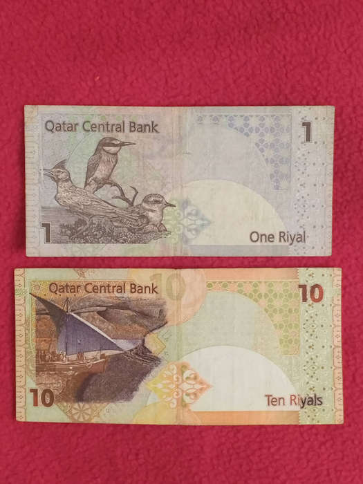 Qatar Riyals