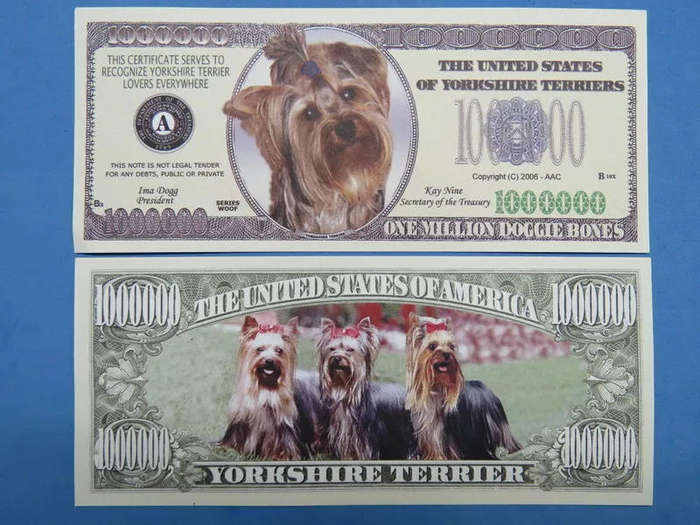 YORKSIRE TERRIER DOG LOVERS NOVELTY MILLION DOLLAR BILL