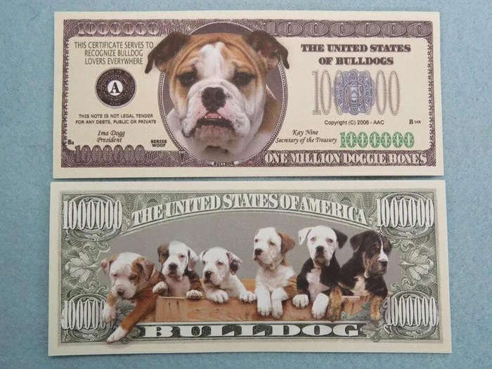 BULLDOG DOG LOVERS NOVELTY MILLION DOLLAR BILL