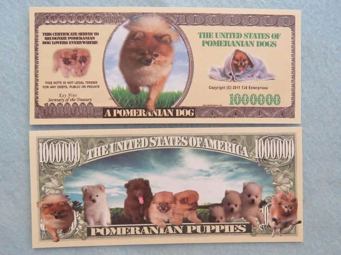 POMERANIAN PUPPIES DOG LOVERS NOVELTY MILLION DOLLAR BILL