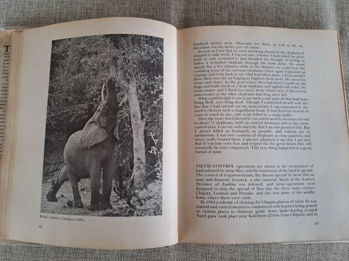 Orphans of the Wild: The Story behind Chipangali