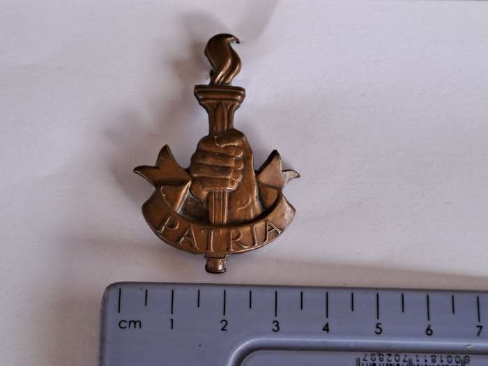 South African Army SADF Patria Badge