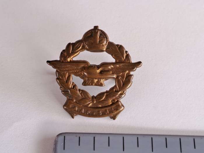 SA Airforce Cap Badge SAAF-SALM
