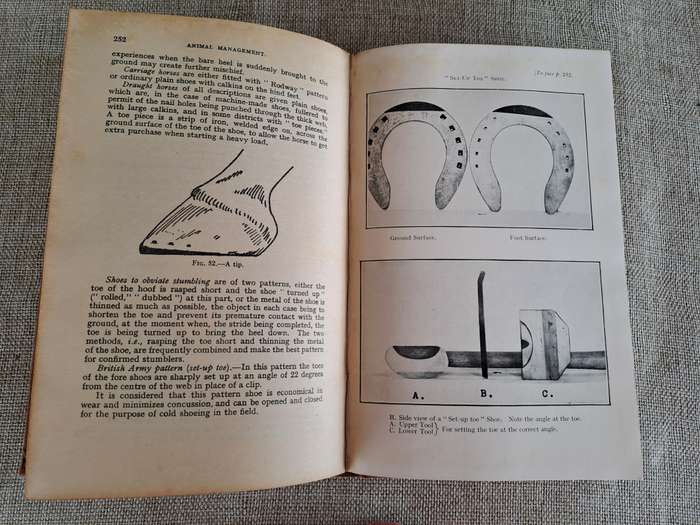 Animal Management 1933