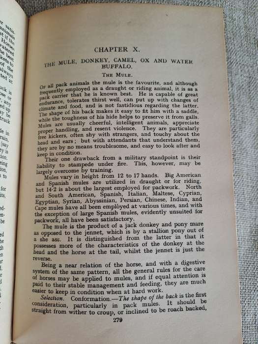 Animal Management 1933