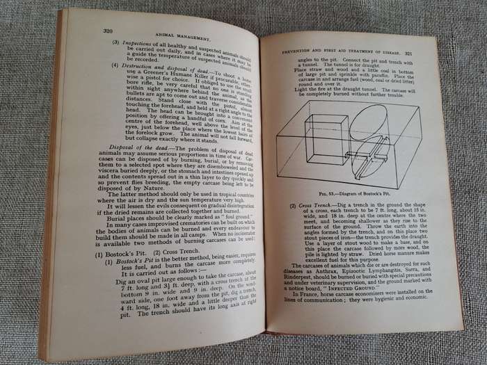 Animal Management 1933