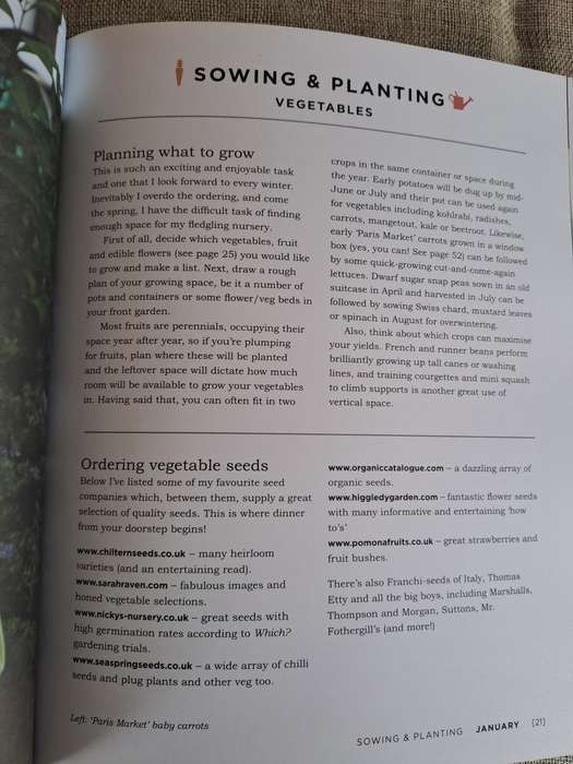 Veg Street: Grow Your Own Community - Naomi Schillimger