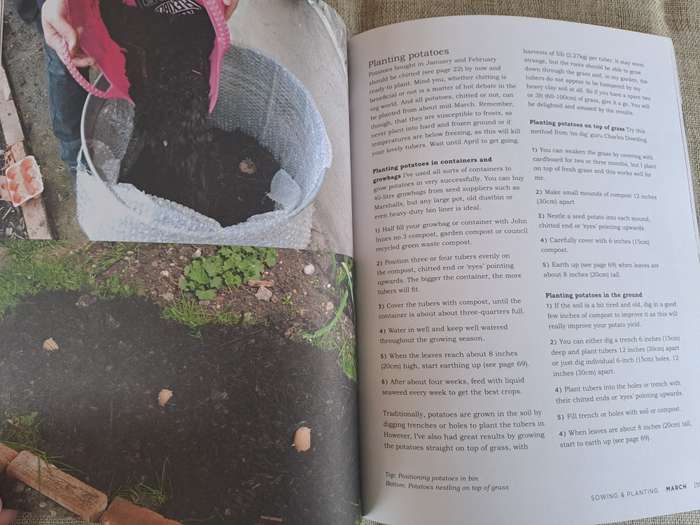 Veg Street: Grow Your Own Community - Naomi Schillimger
