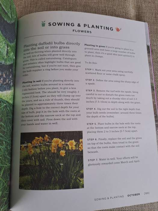 Veg Street: Grow Your Own Community - Naomi Schillimger