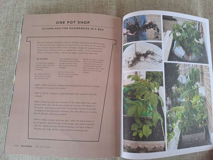Veg Street: Grow Your Own Community - Naomi Schillimger