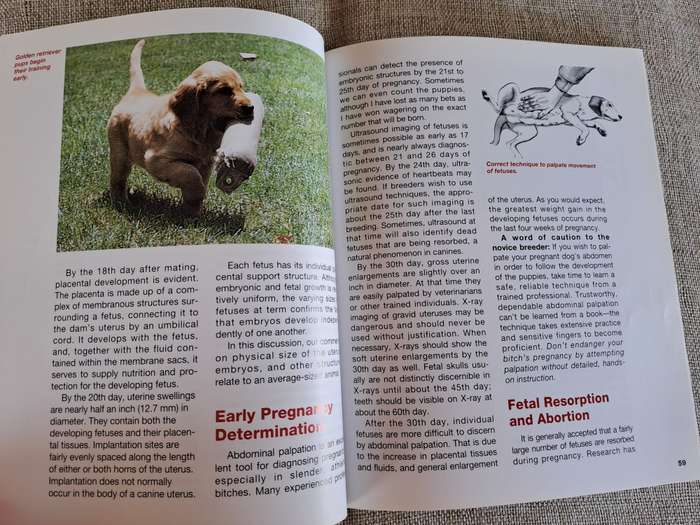 The Complete Book of Dog Breeding - Dan Rice