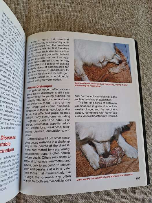 The Complete Book of Dog Breeding - Dan Rice