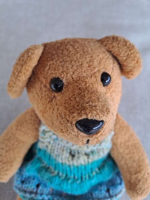 Brown Bear in Knitted Dress