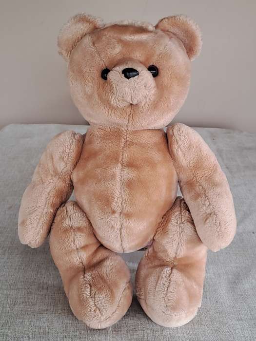 Plush Brown Bear