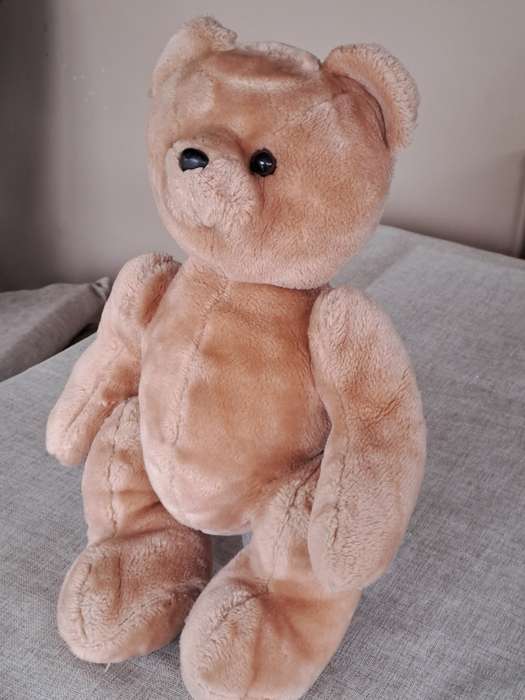 Plush Brown Bear