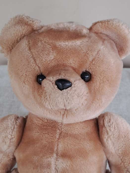 Plush Brown Bear