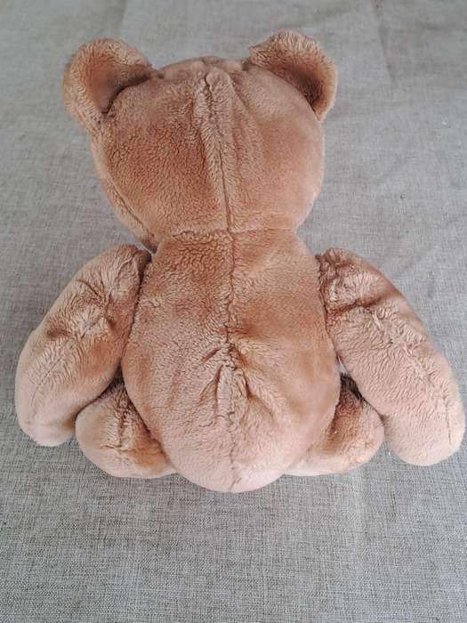 Plush Brown Bear