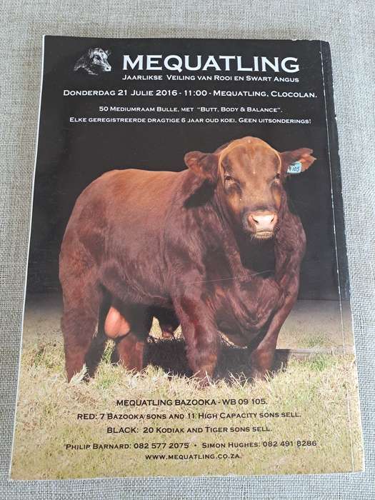 Angus 2016 Journal