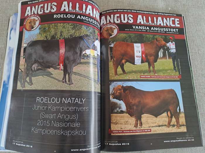 Angus 2016 Journal