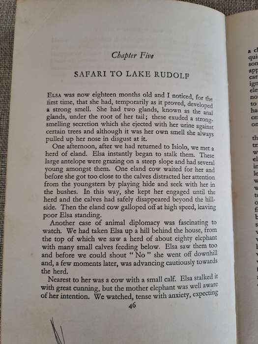 Born Free: A Lioness of Two Worlds - Joy Adamson