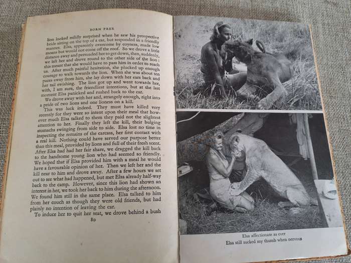 Born Free: A Lioness of Two Worlds - Joy Adamson