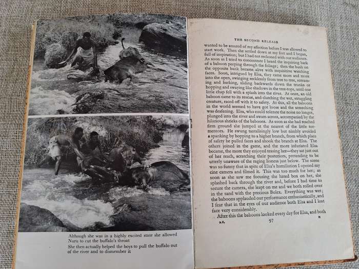 Born Free: A Lioness of Two Worlds - Joy Adamson