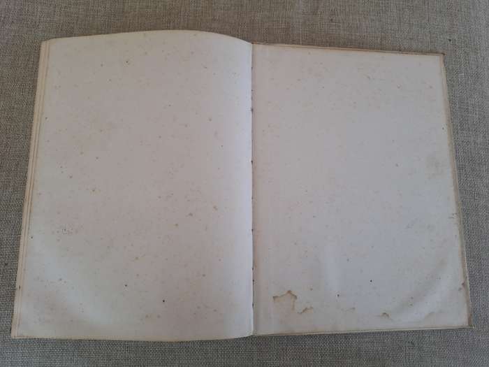 Hunter Vogue 1966- 73 Owners Workshop Manual - Autobooks
