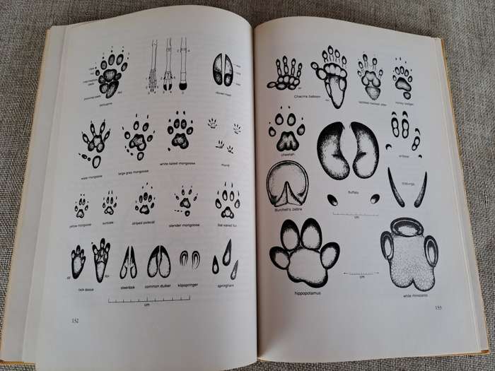 The Art of Tracking: The Origin of Science