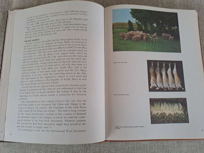 Letelle: The Development of a African Sheep