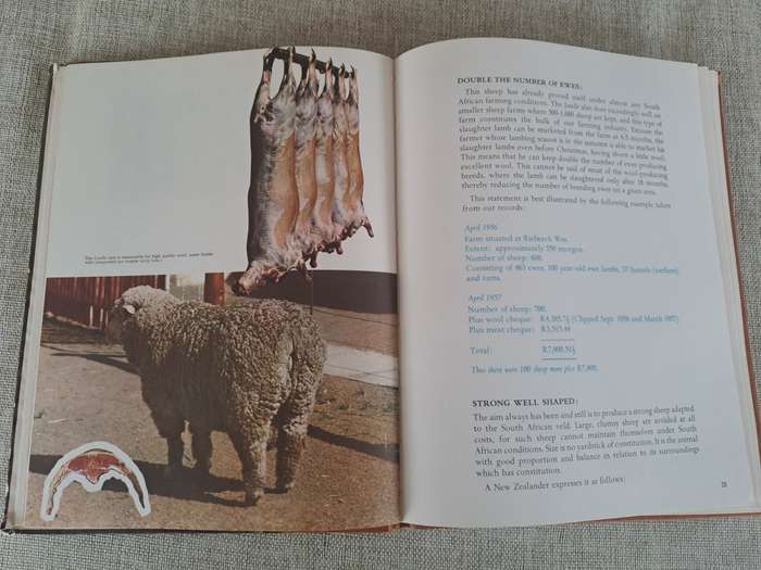 Letelle: The Development of a African Sheep