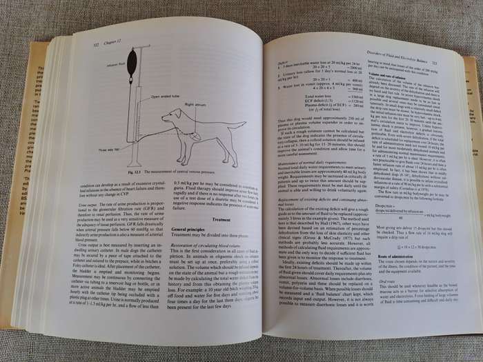 Canine Medicine and Therapeutics 2nd Edition