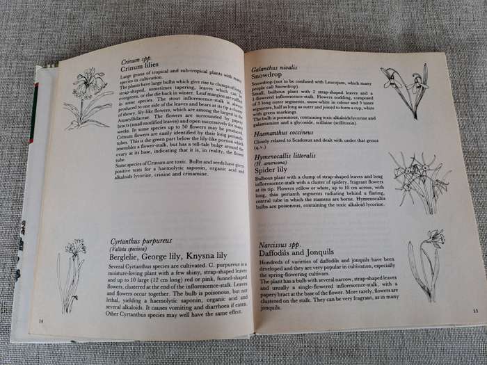 Poisonous Plants in South African Gardens and Parks: A field guide