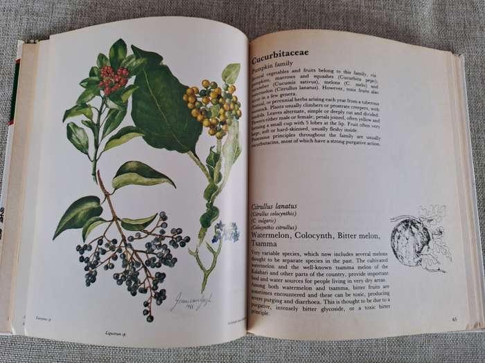Poisonous Plants in South African Gardens and Parks: A field guide
