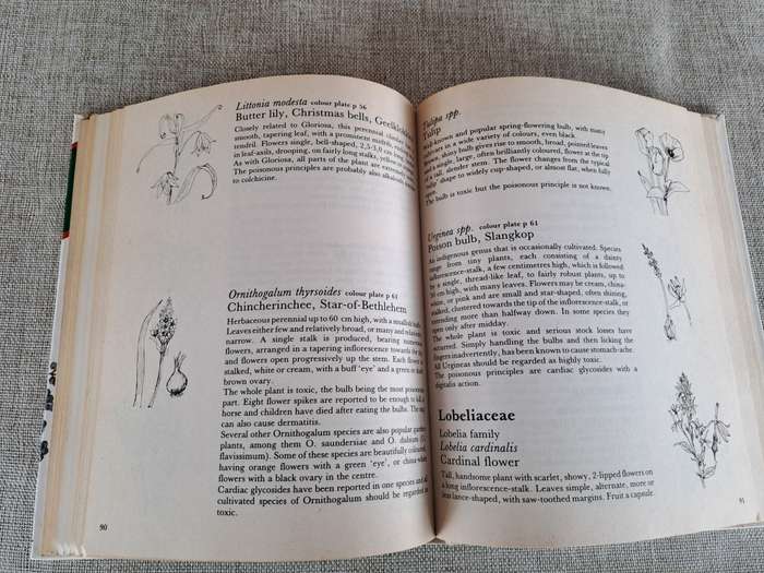 Poisonous Plants in South African Gardens and Parks: A field guide