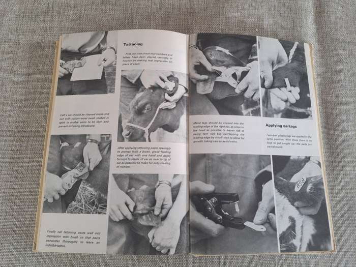 The Herdsman's Book