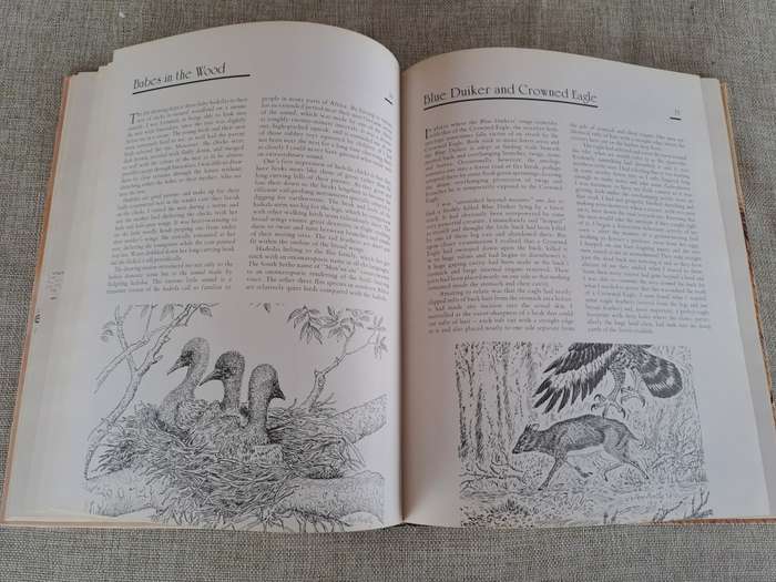 African Wildlife Sketches  Signed copy