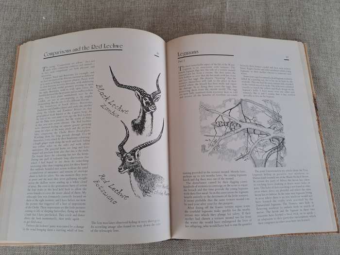 African Wildlife Sketches  Signed copy