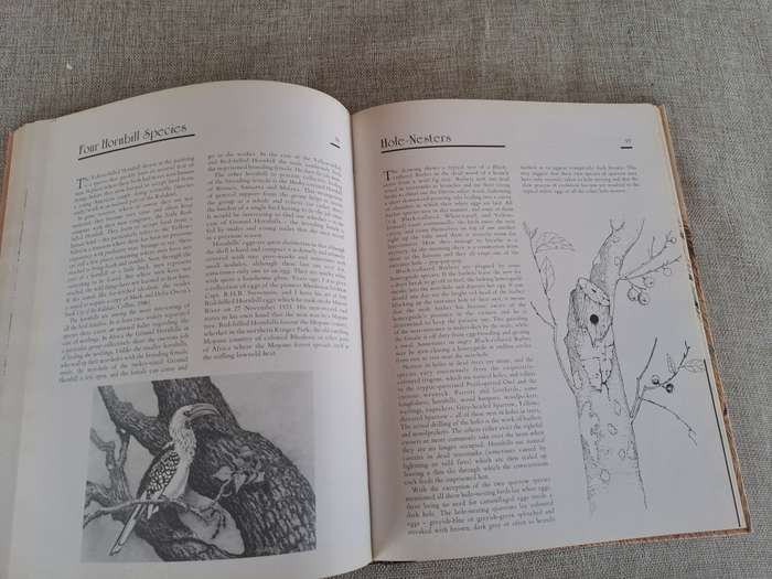 African Wildlife Sketches  Signed copy