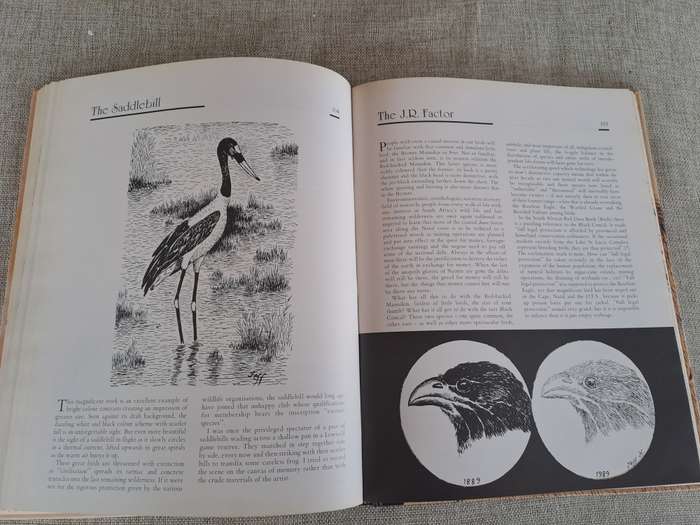 African Wildlife Sketches  Signed copy